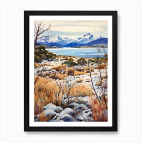 Nahuel Huapi National Park Argentina 4 Art Print