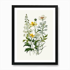 Vintage Botanical Galleria Style Wildflower Painting 44 Art Print