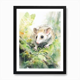 Light Watercolor Painting Of A Foraging Possum 1 Art Print