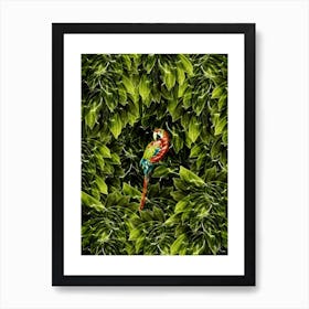 Canopy Art Print