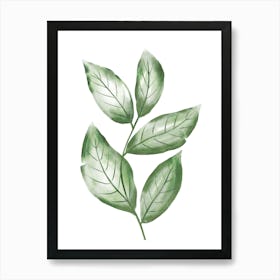 Green Watercolor Leaves - One Set Art Print