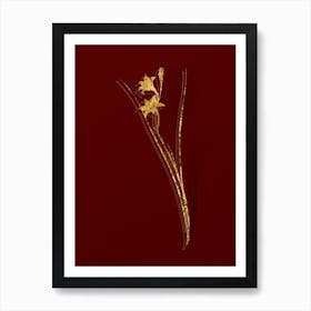 Vintage Gladiolus Botanical in Gold on Red n.0106 Art Print