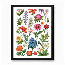 Wild Flowers Art Print