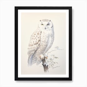 Vintage Bird Drawing Snowy Owl 2 Art Print