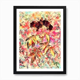 Impressionist Musk Rose Botanical Painting in Blush Pink and Gold 1 Art Print