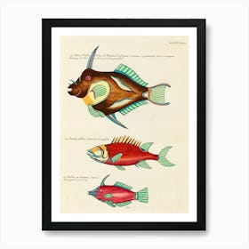 Colourful And Surreal Illustrations Of Fishes Found In Moluccas (Indonesia) And The East Indies, Louis Renard(57) Art Print