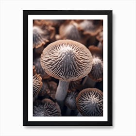 Mushroom Photography 5 Art Print