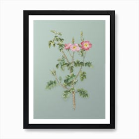 Vintage Prickly Sweetbriar Rose Botanical Art on Mint Green n.0380 Art Print
