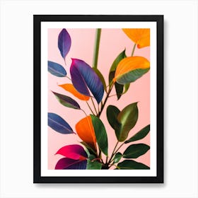 Split Leaf Philodendron Colourful Illustration Plant Affiche