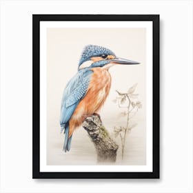 Vintage Bird Drawing Kingfisher 2 Art Print