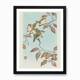 Birds On A Branch (1900 1936), Ohara Koson Art Print