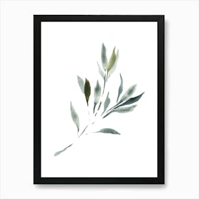 Watercolor Leaf, Olive Branch 3 Art Print