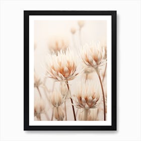 Boho Dried Flowers Protea 3 Art Print