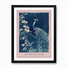 Peacock In The Leaves Cyanotype Inspired 3 Poster Art Print