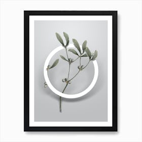 Vintage Viscum Album Branch Minimalist Botanical Geometric Circle on Soft Gray Art Print