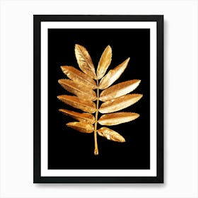 Gold Leaf Isolated On Black Background 1 Art Print