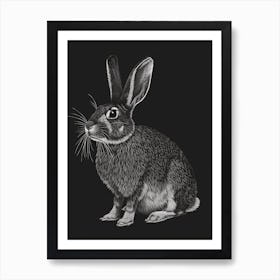 Flemish Giant Blockprint Rabbit Illustration 2 Art Print