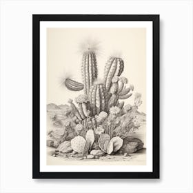 Vintage Cactus Illustration Bishops Cap Cactus B&W Art Print