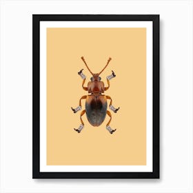 Billy The Booted Beetle Art Print