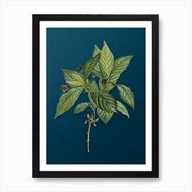 Vintage Alpine Honeysuckle Plant Botanical Art on Teal Blue n.0162 Art Print