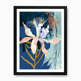 Colourful Flower Illustration Love In A Mist Nigella 4 Art Print