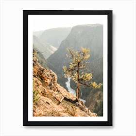 Over The Canyon Art Print