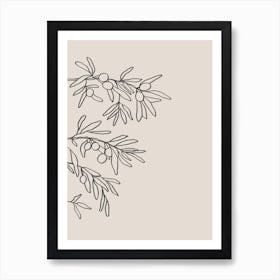 Mid Summer Olive Branch 01 Art Print