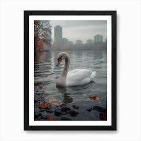 Swan In The Park 1 Art Print