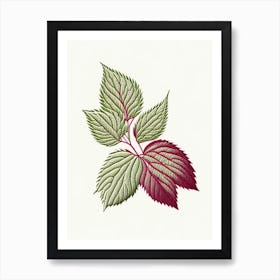 Raspberry Leaf Herb William Morris Inspired Line Drawing 3 Art Print