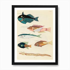 Colourful And Surreal Illustrations Of Fishes Found In Moluccas (Indonesia) And The East Indies, Louis Renard(59) Art Print