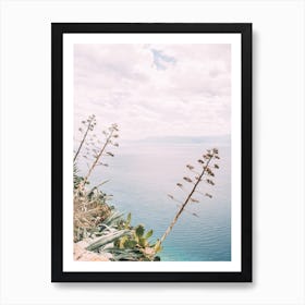 Seaside Cliff Plants Art Print