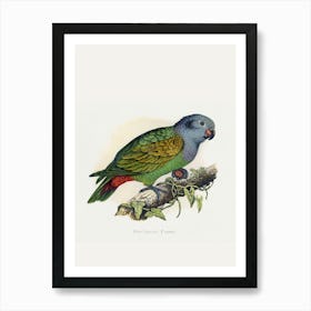 Parrot 4 Art Print