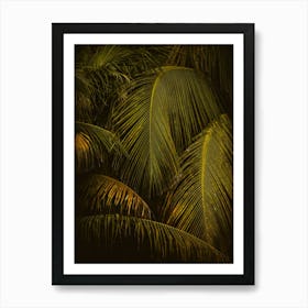 Mexico Palm Trees Andreas Danner Creative 43 Art Print