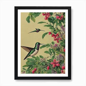 Hummingbird Haeckel Style Vintage Illustration Bird Art Print