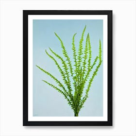 Asparagus Fern Bold Graphic Art Print