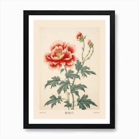 Botan Peony 4 Vintage Japanese Botanical Poster Art Print