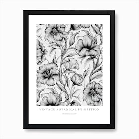 Morning Glory B&W Vintage Botanical Poster Art Print