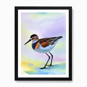 Dunlin 2 Watercolour Bird Art Print