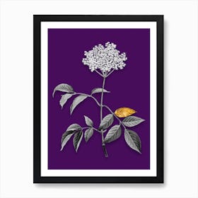 Vintage Elderflower Tree Black and White Gold Leaf Floral Art on Deep Violet n.0988 Art Print