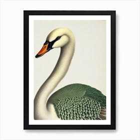 Swan James Audubon Vintage Style Bird Art Print