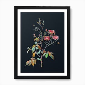 Vintage Pink Noisette Roses Botanical Watercolor Illustration on Dark Teal Blue n.0330 Art Print