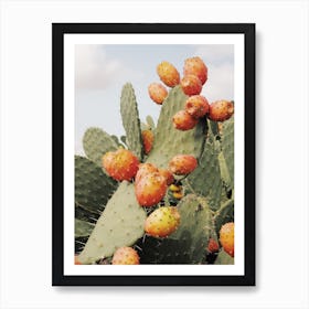 Cactus Fruit Art Print