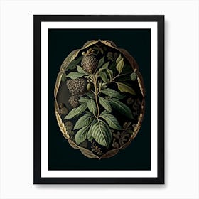 Black Walnut Herb Vintage Botanical Art Print