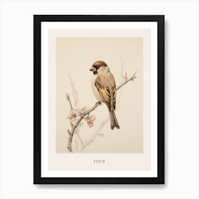 Vintage Bird Drawing Finch 2 Poster Affiche