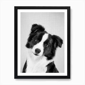 Border Collie - Black & White Art Print