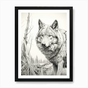 Gray Wolf Drawing 3 Art Print