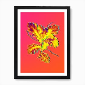 Neon English Oak Botanical in Hot Pink and Electric Blue n.0461 Art Print