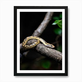 Baby Snake Captured Mid Twist Exhibiting A Playful Surprise As It Clings To A Textured Branch Foreg Art Print