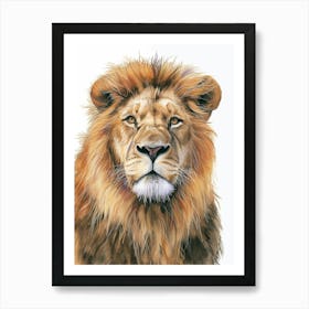 African Lion Portrait Close Up Clipart 3 Art Print