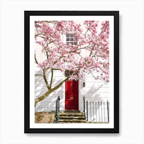 Magnolia In London Art Print